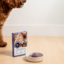 Load image into Gallery viewer, FAIM MUSEAU FROZEN BLUEBERRY YOGURT 6X30G