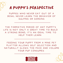 Load image into Gallery viewer, MINE PET PLATTER BONE LG