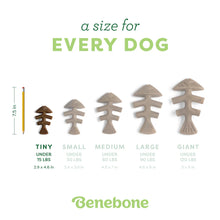 Load image into Gallery viewer, BENEBONE FISHBONE CHEW SALMON TINY 2PK