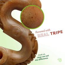 Load image into Gallery viewer, BENEBONE TRIPE BONE CHEW SMALL