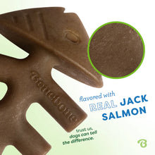 Load image into Gallery viewer, BENEBONE FISHBONE CHEW SALMON SMALL