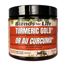 Load image into Gallery viewer, BLENDS FOR LIFE TUMERIC GOLD+ 175G