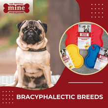 Load image into Gallery viewer, MINE PET PLATTER BONE LG