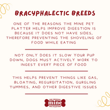 Load image into Gallery viewer, MINE PET PLATTER BONE LG