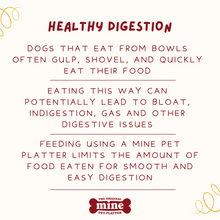 Load image into Gallery viewer, MINE PET PLATTER BONE LG