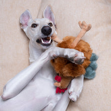 Load image into Gallery viewer, FLUFF & TUFF CHANDLER CHICKEN 10"