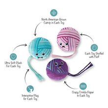 Load image into Gallery viewer, FRINGE CAT TIME TO UNWIND MINI 3PK