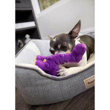 Load image into Gallery viewer, GODOG DINO BRUTO PURPLE MINI