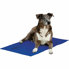 Load image into Gallery viewer, K&H COOLIN PET PAD BLUE 27X38 XLG