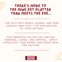 Load image into Gallery viewer, MINE PET PLATTER BONE LG