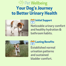 Load image into Gallery viewer, PET WELLBEING URINARY GOLD 2OZ