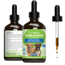 Load image into Gallery viewer, PET WELLBEING YOUNG AT HEART 4OZ