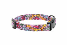 Load image into Gallery viewer, RC ARTIST SERIES COLLAR MEDIUM