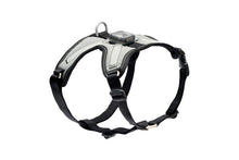 Load image into Gallery viewer, RC NOVA LED HARNESS BLACK & GREY SM
