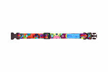 Load image into Gallery viewer, RC ARTIST SERIES COLLAR MEDIUM