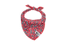 Load image into Gallery viewer, RC ZEPHYR COOLING BANDANA MEDIUM/LARGE