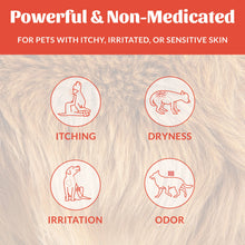 Load image into Gallery viewer, SKOUT'S HONOR PROBIOTIC ITCH RELIEF SHAMPOO 16OZ