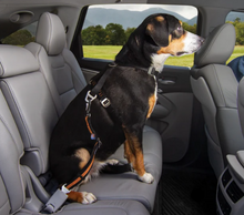 Load image into Gallery viewer, KURGO DIRECT TO SEATBELT TETHER SWIVEL