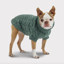 Load image into Gallery viewer, GF PET CHALET SWEATER SAGE MED