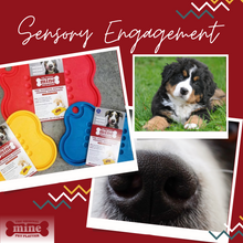 Load image into Gallery viewer, MINE PET PLATTER BONE LG