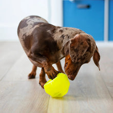 Load image into Gallery viewer, TOTALLY POOCH STUFF'N WOBBLE BALL GREEN 4"