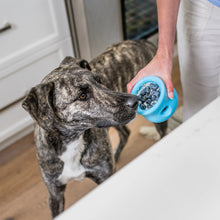 Load image into Gallery viewer, WEST PAW HOLIDAY TOPPL XLARGE