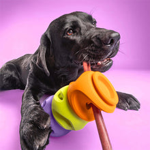 Load image into Gallery viewer, WAGLAB THE BULLY ORANGE SMALL