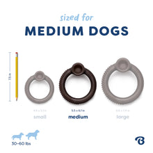Load image into Gallery viewer, BENEBONE RING BLUEBERRY MEDIUM