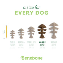 Load image into Gallery viewer, BENEBONE FISHBONE CHEW SALMON LARGE