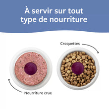 Load image into Gallery viewer, FAIM MUSEAU FROZEN BLUEBERRY YOGURT 6X30G