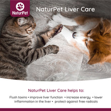 Load image into Gallery viewer, NATURPET LIVER CARE 100ML