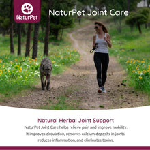 Load image into Gallery viewer, NATURPET JOINT CARE 100ML