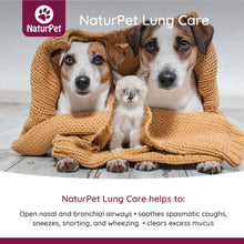 Load image into Gallery viewer, NATURPET LUNG CARE 100ML