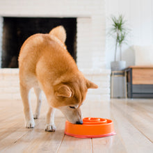 Load image into Gallery viewer, OUTWARD HOUND FUN FEEDER CORAL ORANGE MINI