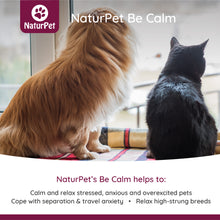 Load image into Gallery viewer, NATURPET BE CALM 100ML