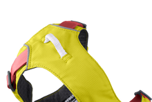 Load image into Gallery viewer, RUFFWEAR FLAGLINE HARNESS XSM