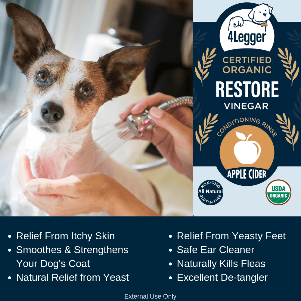 Apple cider vinegar wash for sale dogs