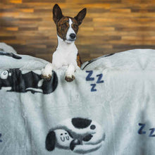 Load image into Gallery viewer, BULLTUG TOY BIN/BLANKET SET