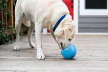 Load image into Gallery viewer, OUTWARD HOUND ORBEE SNOOP ORANGE