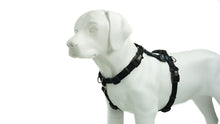 Load image into Gallery viewer, BLUE9 BALANCE HARNESS BUCKLE NECK BLACK MEDIUM/LARGE