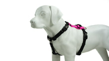 Load image into Gallery viewer, BLUE9 BALANCE HARNESS BUCKLE NECK PINK SMALL