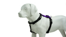 Load image into Gallery viewer, BLUE9 BALANCE HARNESS BUCKLE NECK PURPLE MEDIUM/LARGE