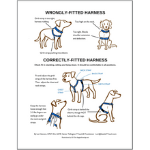 Load image into Gallery viewer, BLUE9 BALANCE HARNESS BUCKLE NECK SKY BLUE XSMALL