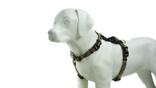 Load image into Gallery viewer, BLUE9 BALANCE HARNESS BUCKLE NECK CAMO MEDIUM/LARGE