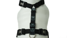 Load image into Gallery viewer, BLUE9 BALANCE HARNESS BUCKLE NECK BLACK LARGE