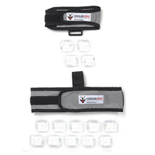 Load image into Gallery viewer, COOLER DOG COOLING VEST+COLLAR GREY EXTRA SMALL