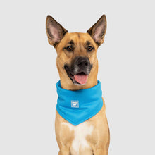 Load image into Gallery viewer, CANADA POOCH CHILL SEEKER BANDANA BLUE LARGE
