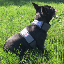Load image into Gallery viewer, COOLER DOG COOLING VEST+COLLAR GREY EXTRA SMALL