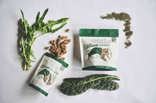 Load image into Gallery viewer, GREEN JUJU FREEZE DRIED BISON "GREEN" BITES 6OZ