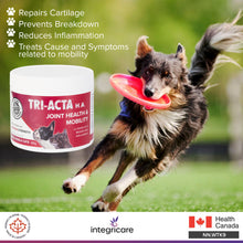 Load image into Gallery viewer, TRI-ACTA H.A DOG/CAT JOINT FORMULA MAXIMUM STRENGTH 60G